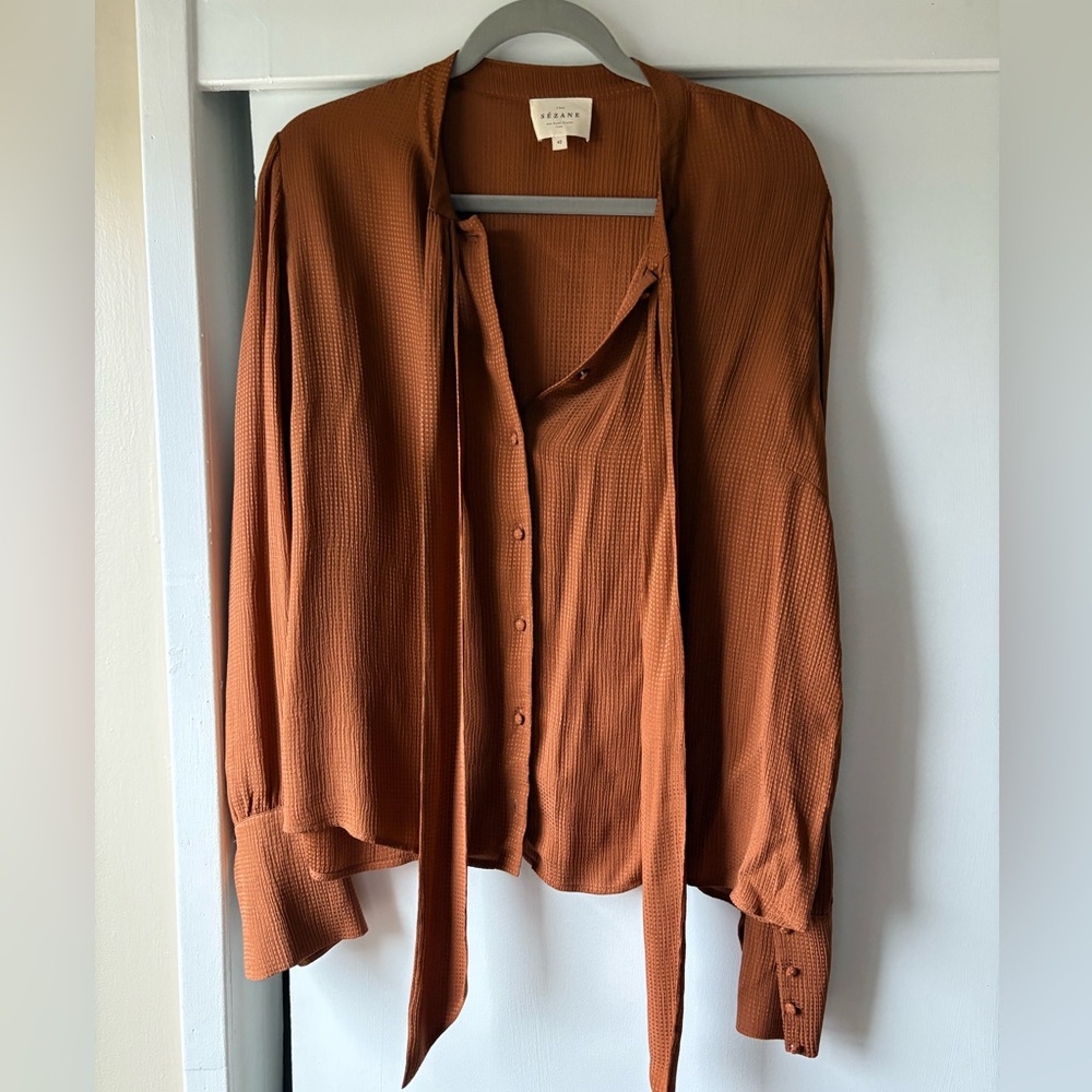 Sezane Rust Blouse